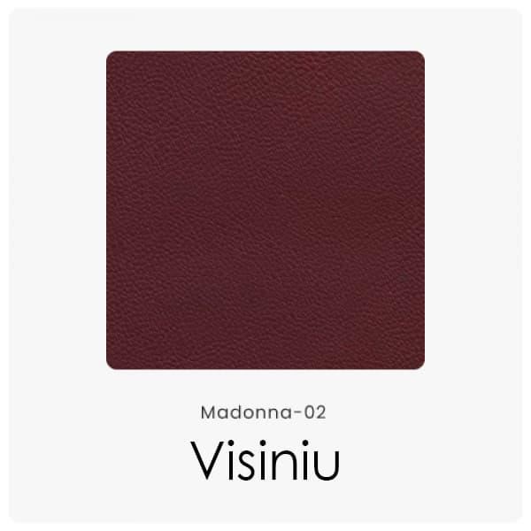 M02-Visiniu